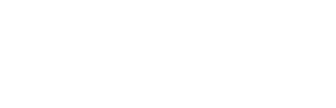 guidon